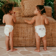 Pañal Braguita Suscripción